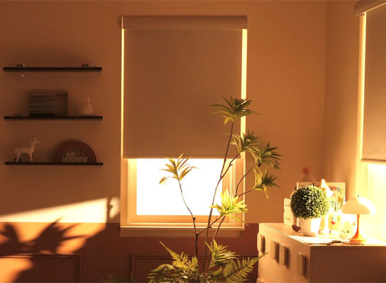 Lutron Motorized Window Shades