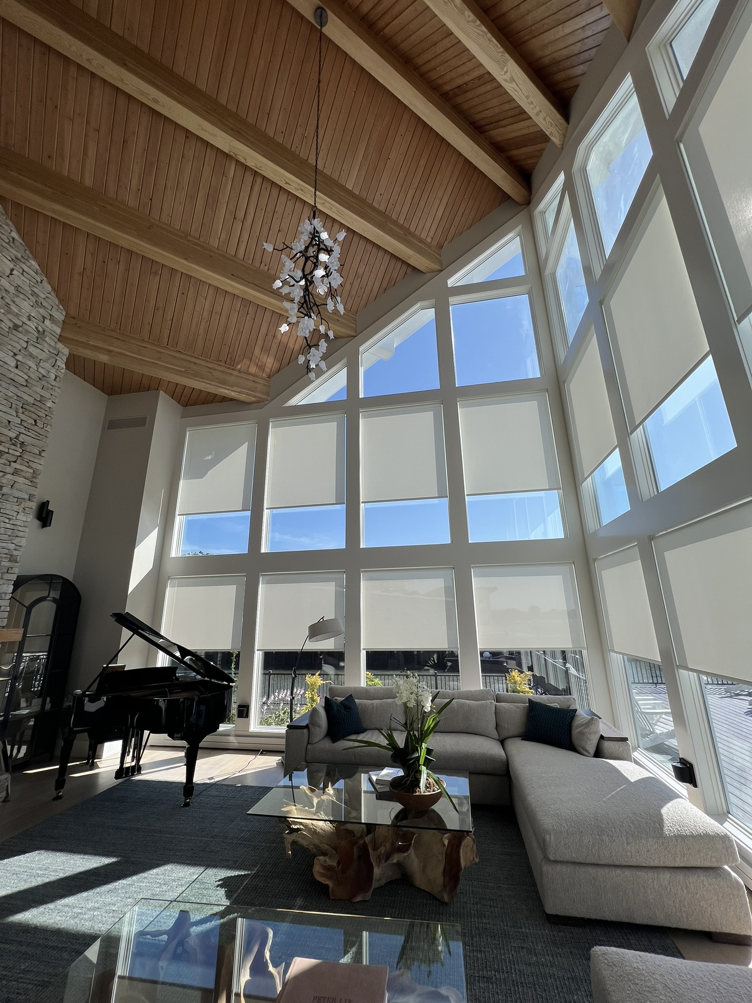 Integrated smart home control system supported by reliable home networking and Wi-Fi