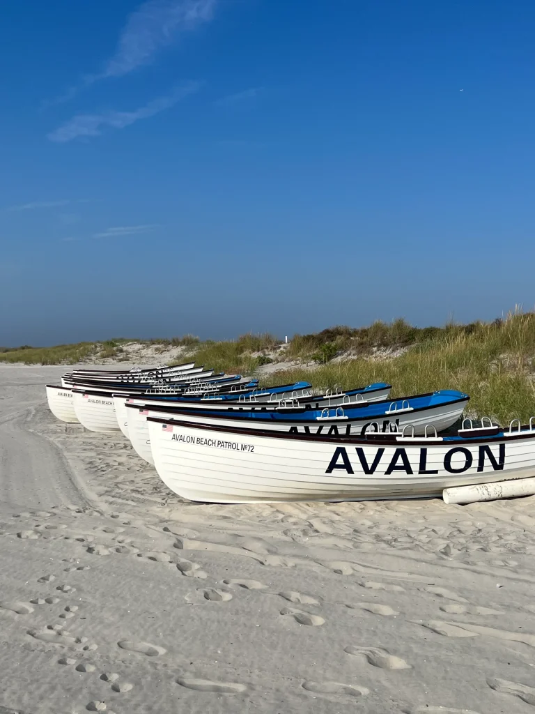 Avalon NJ beach boats for Seven Mile Island smart home service area