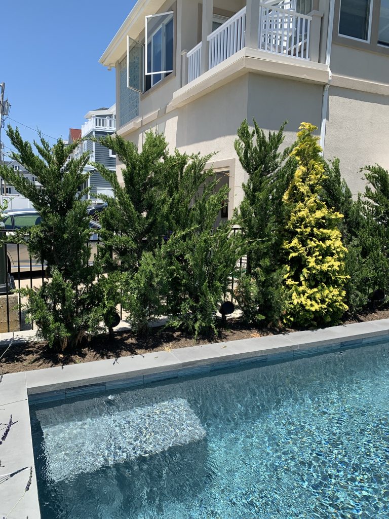 Sonance landscape speakers integrated around a South Jersey pool and patio